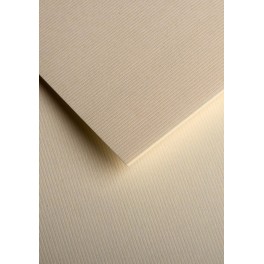 O.Papiernia PASKI SZEROKIE - 120 g/m2 - biały - 50 sztuk